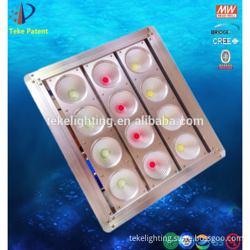 Building Decorative RGB lighting outdoor led flood light 500 watt